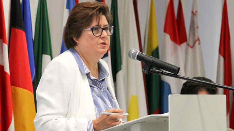 Alina Mungiu Pippidi. „Orice curățenie trebuie să înceapă de undeva”