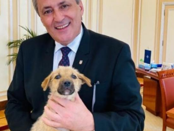 „Vom asista la fărădelegi cu aprobare de la Poliție”