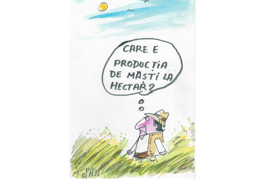 România, prin ochii lui Cristian Topan