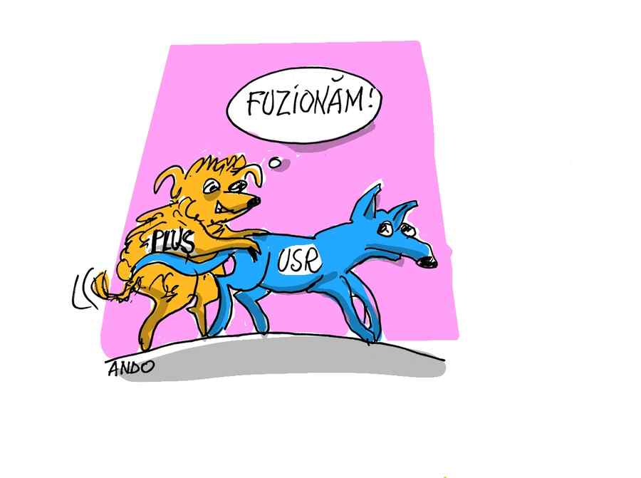 Decizie politică