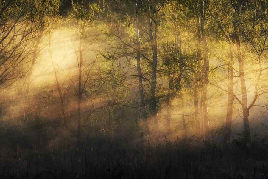 Fotografiile lui Andrei Baciu inspiră muzicieni polonezi