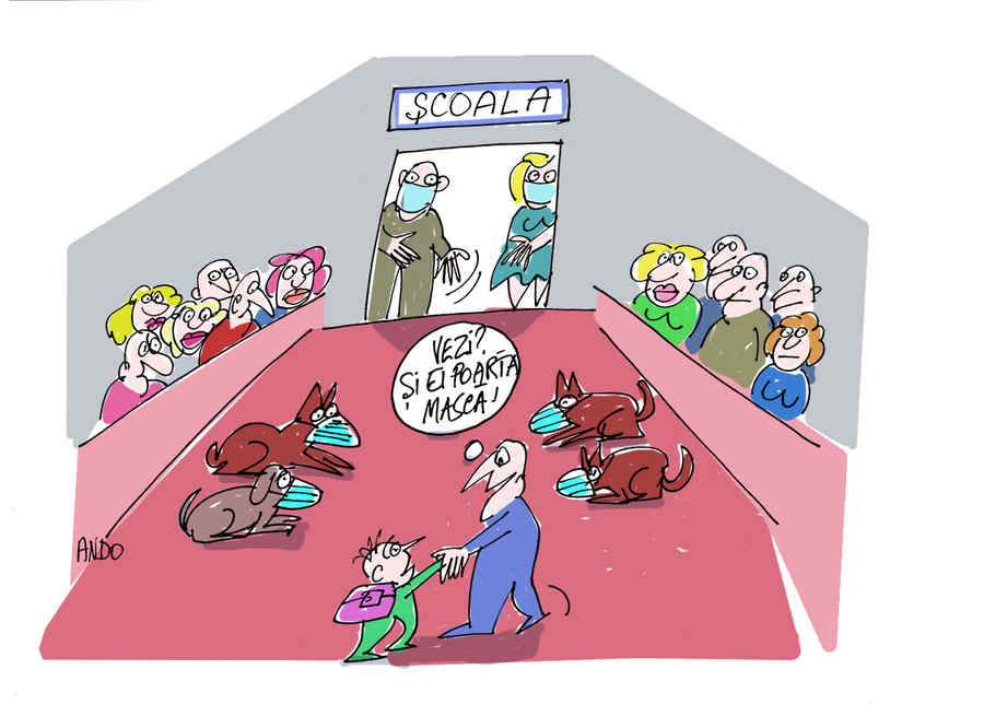 Prima lecție