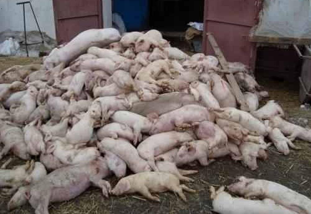 Nu e de glumă nici acum!