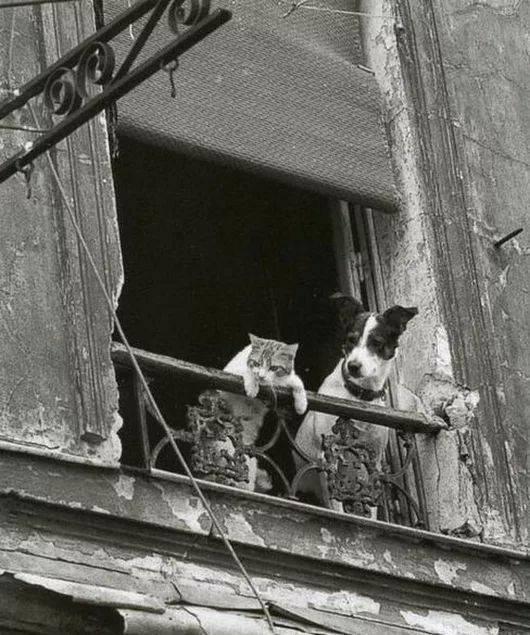 Liber pentru poliţişti la „amenzi drastice”