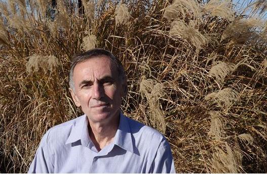 Moștenirea lui Radu Călin Cristea