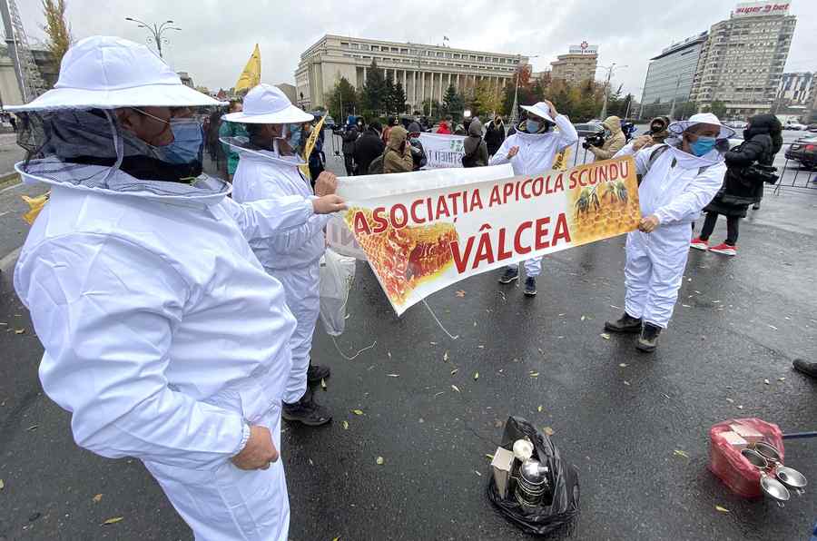 (GALERIE FOTO) Ziua și protestul la Guvern. La rând, producătorii agricoli