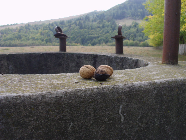 Spărgătorul de nuci