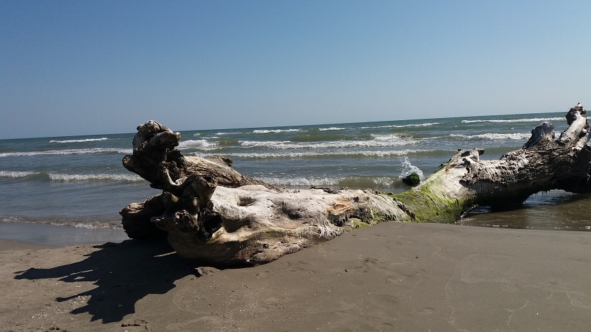 Sfârșitul civilizației