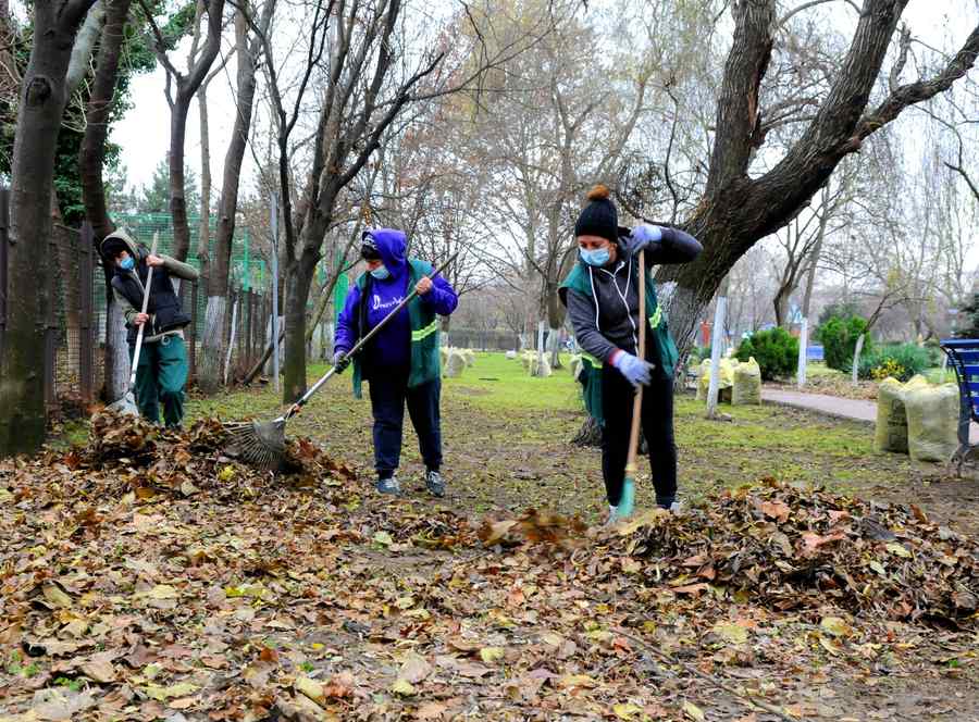 (FOTO) Fapte, nu vorbe!