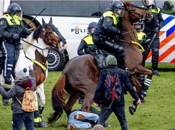 (VIDEO) Curat democrație! Protestatari călcați de cai