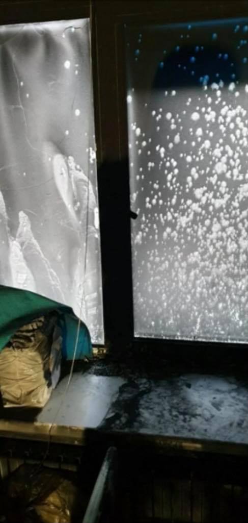 „Dacă se întâmplau asemenea grozăvii în mandatul PSD, azi aveam revoluție”