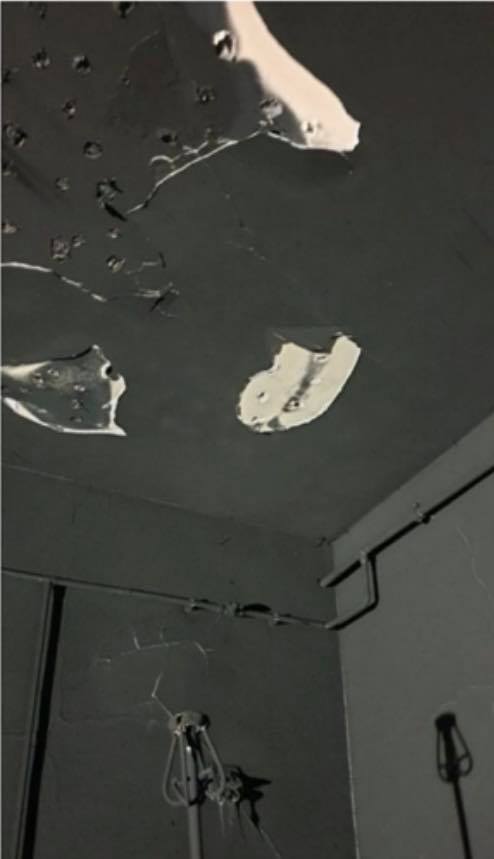 Cazul „Matei Balș”: Al doilea deces al zilei