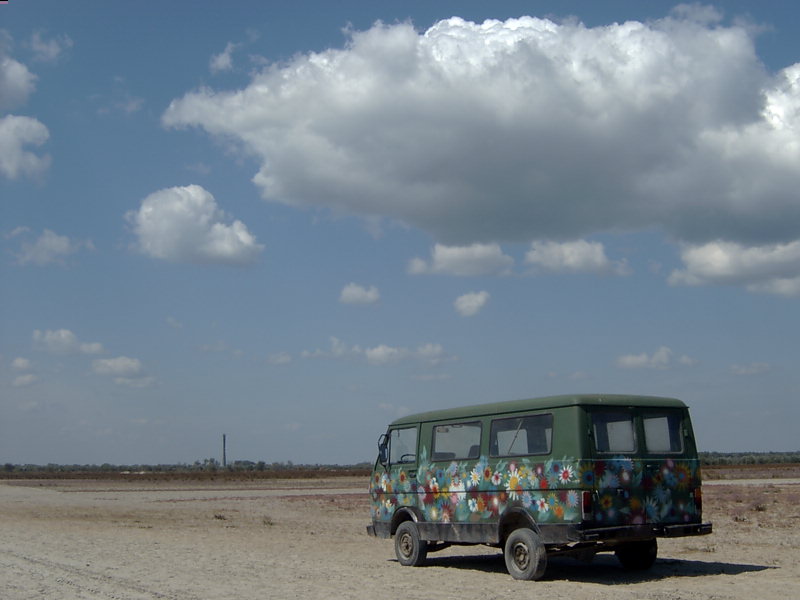 S.F. Politic: Flower Power