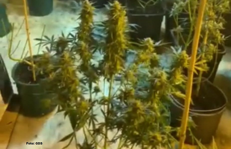 Tone de droguri găsite în Roman