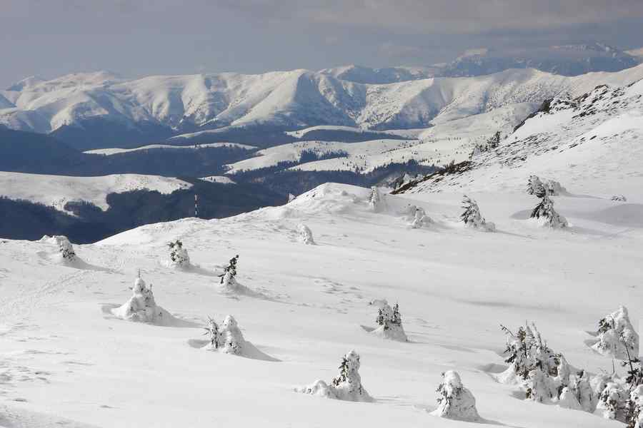 Cod galben de ninsori în 14 judeţe