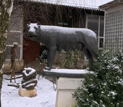 Pavel Şuşară intervine în scandalul statuilor: „E un abuz”