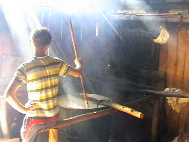 Neoliberalii se țin cu dinții de putere