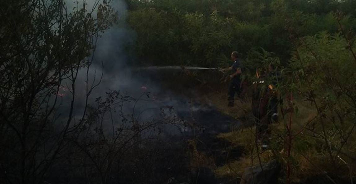 Amendă dacă-ți arzi frunzele din grădină