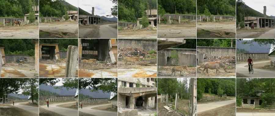 În palatul de cleștar, pesediștii dau cu var