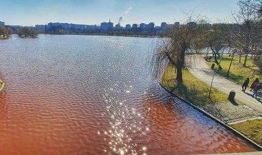 Organizație de mediu: Lacul IOR este poluat cu fecale