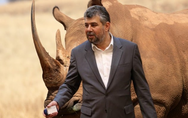 PrimCiolacu crește mare