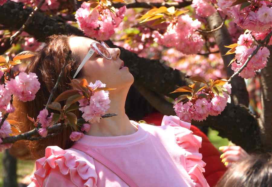 (GALERIE FOTO) De Florii, în Grădina Japoneză din Herăstrău