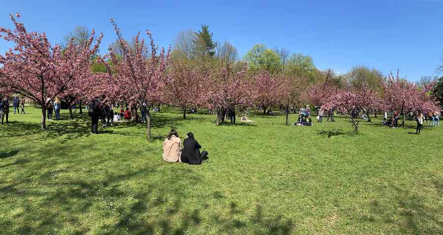 Trecem brusc la temperaturi de primăvară