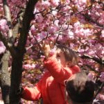 Alertă de vânt puternic. Rafalele pot depăși 90 km/h