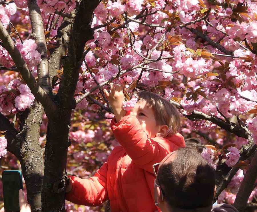 Anunț de ultimă oră de la ANM. Vom avea iar zero grade