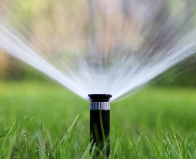 O focă transpirată de irigații