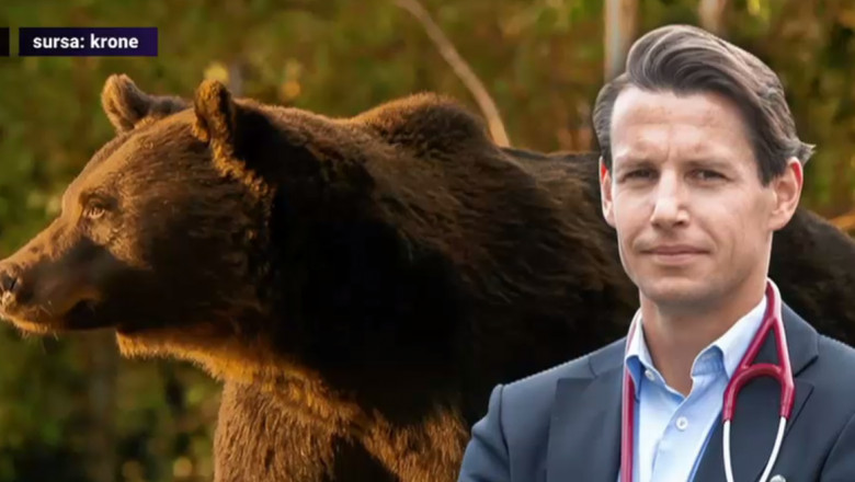 DNA în afacerea Ursul