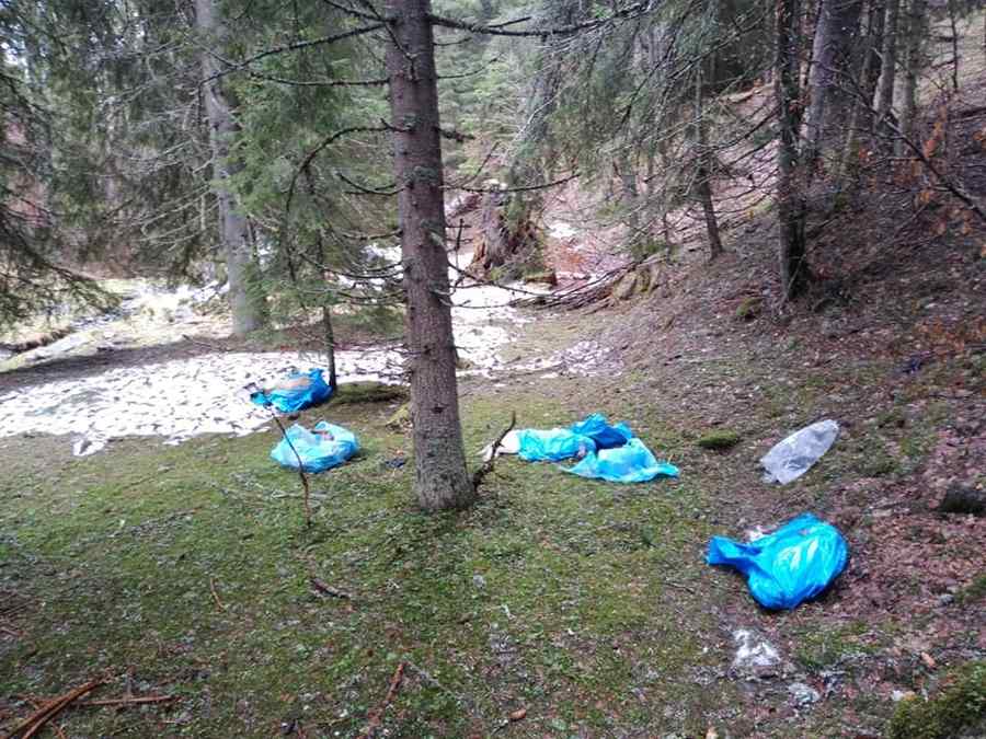 Cruzime împotriva animalelor în Retezat