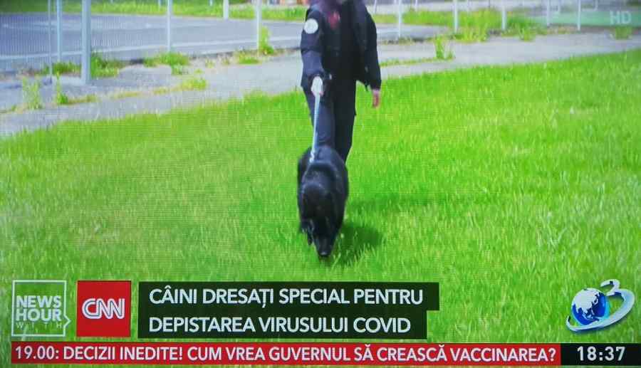 Fake news din partea Antenei 3 pentru CNN