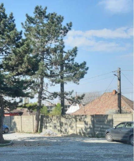 Angajările fictive, la ordinea zilei (III)