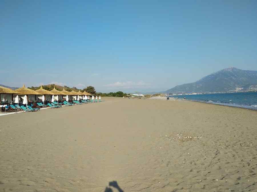 Gogorița lui Ciolacu