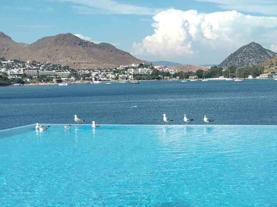 Decretul lui Erdogan. Românii, cu buletinul în scop turistic