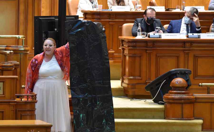 Șoșoacă le-a dat o idee: Candidații la parlamentare să prezinte certificate de la psihiatru