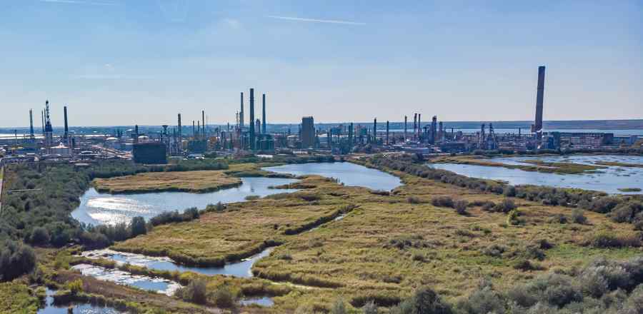 Petromidia ar putea sta închisă luni de zile