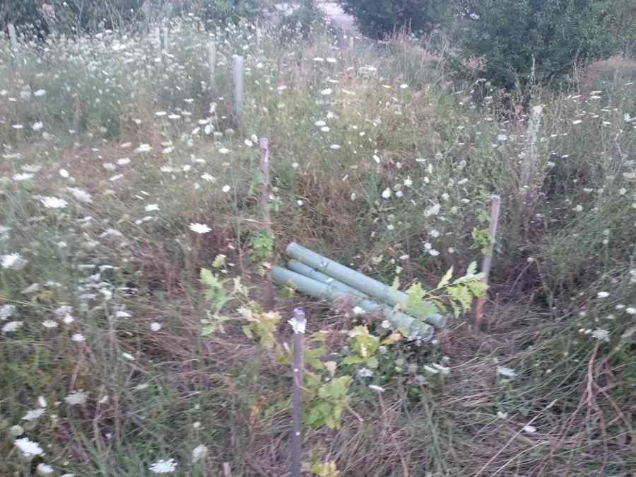 Un dezastru patronat și protejat de președintele Iohannis