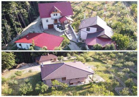 Crăişorii muntelui: Şi-au făcut case în arie protejată