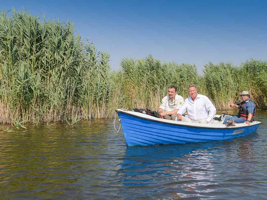 Toate bune! Dar rău de tot!