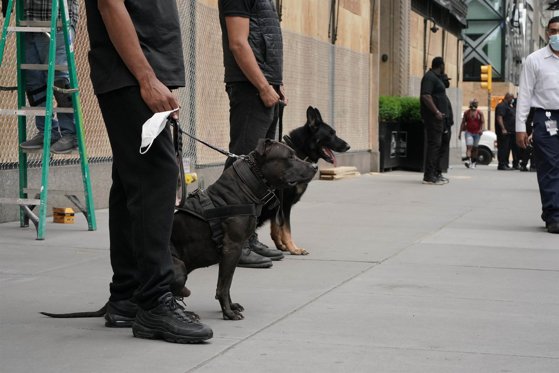 „Mirosul de Covid” i-a dat de gol