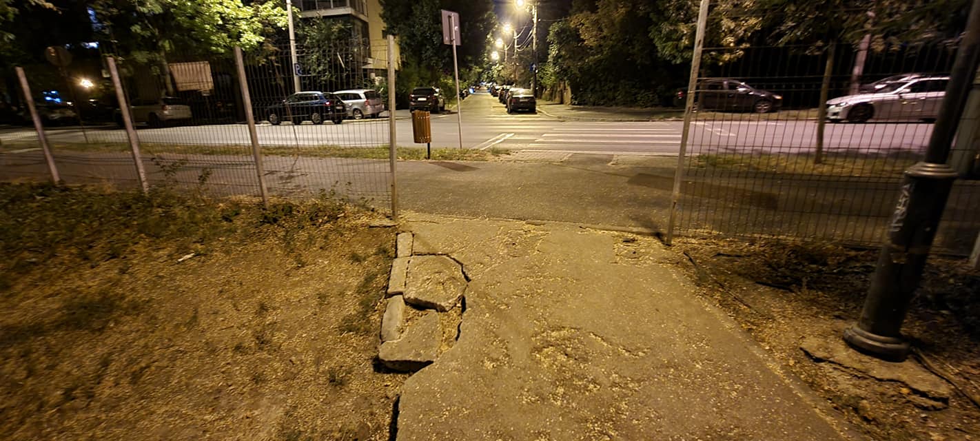 „Dragă Nicușor Dan”, unul de-al tău îți arată dezastrul din Herăstrău!