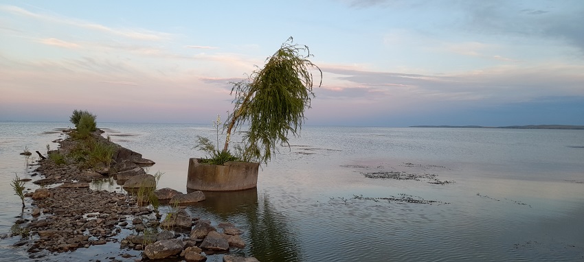 Canale, diguri și baraje – SF politic