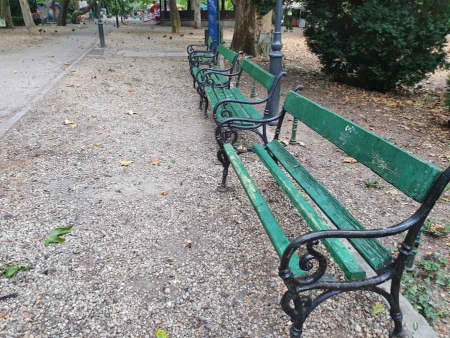Soluție pentru Cișmigiu: Păsări de pradă