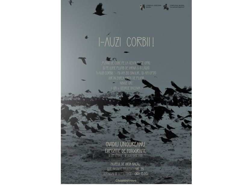 I-auzi corbii, expoziție de fotografie Ovidiu Ungureanu