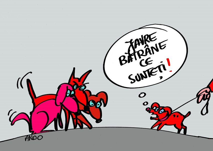 Dialog între javre