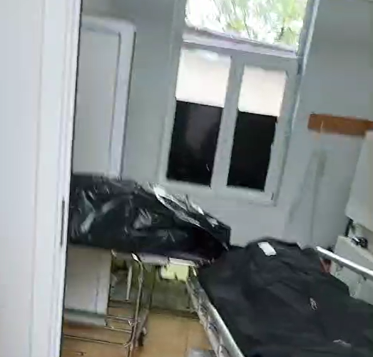 (VIDEO) Șoșoacă s-a dus în excursie la morgă: Ia deschide ușa!