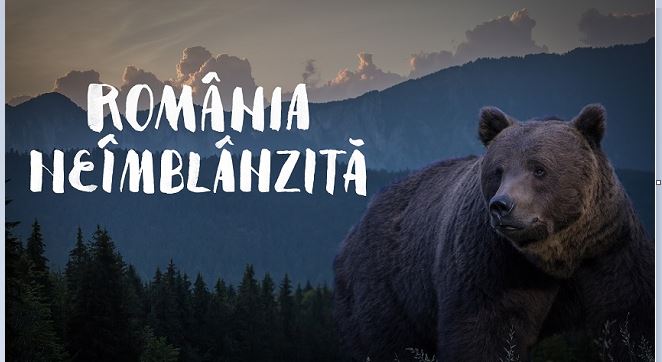 Programe speciale de Ziua Națională la TVR