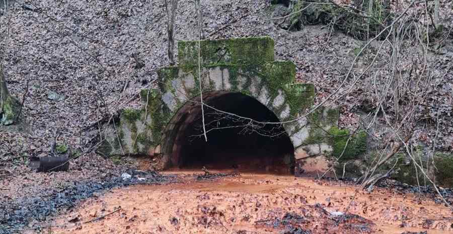 Apel pentru redeschiderea minelor